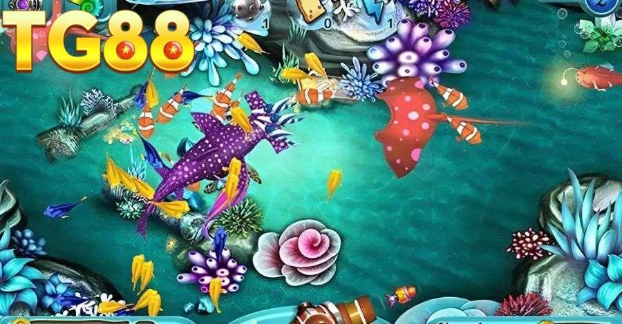 Hệ sinh thái biển đa dạng giúp thành viên thỏa sức chinh phục