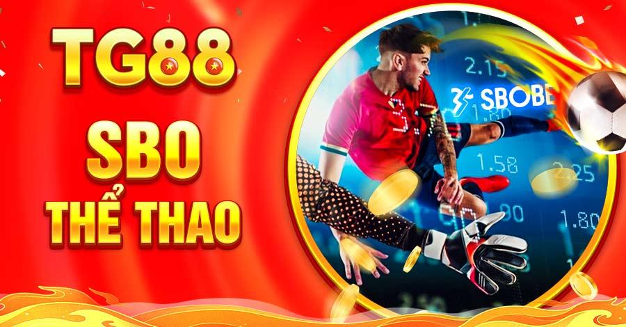 Thể thao TG88 hiện đang liên kết với nhiều nhà cung cấp game hàng đầu